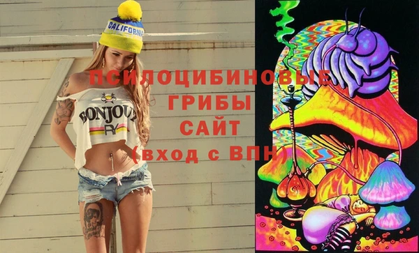 гидропоника Няндома