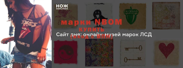 гидропоника Няндома