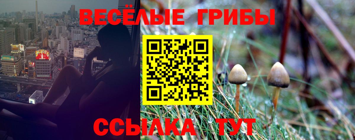 Искитим  Галлюциногенные грибы Magic Shrooms  Вход с VPN 