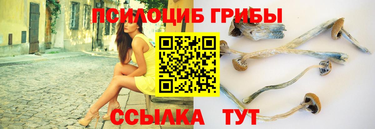 ГАШ Искитим